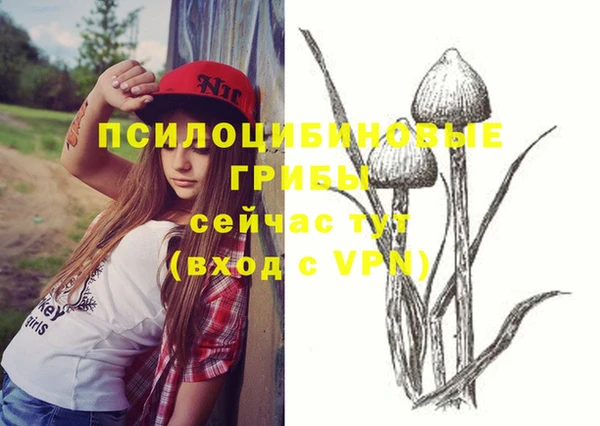 таблы Алексин