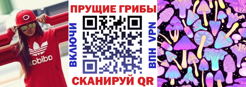 Галлюциногенные грибы Psilocybine cubensis  Новоалександровск 